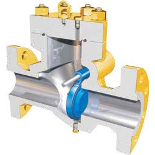 Wheatley 500 Swing Check Valve ESP